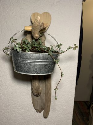 Structure en bois flotté et plante verte dans seau en métal gris pour la Saint Valentin