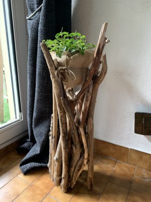 Support en bois flotté et plante verte pour la Saint Valentin