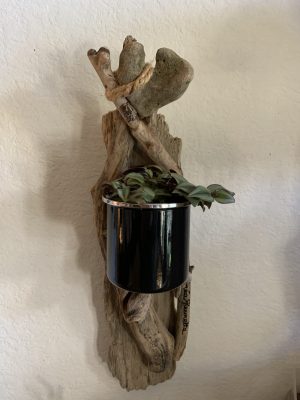 Structure en bois flotté et plante verte dans pot en métal noir pour la Fête des Mères