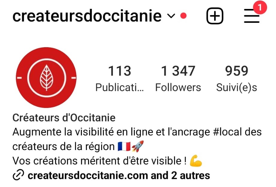 Lien site internet dans sa bio Insta 2023
